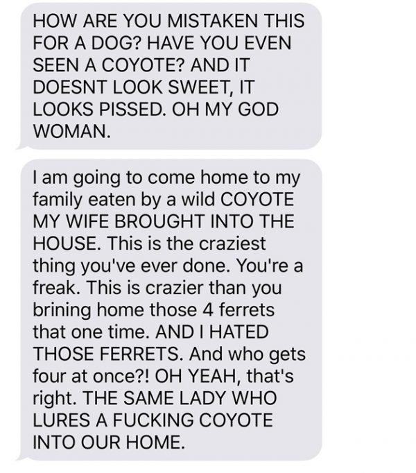 chien-coyote-wtf-8 chien-coyote-wtf-8