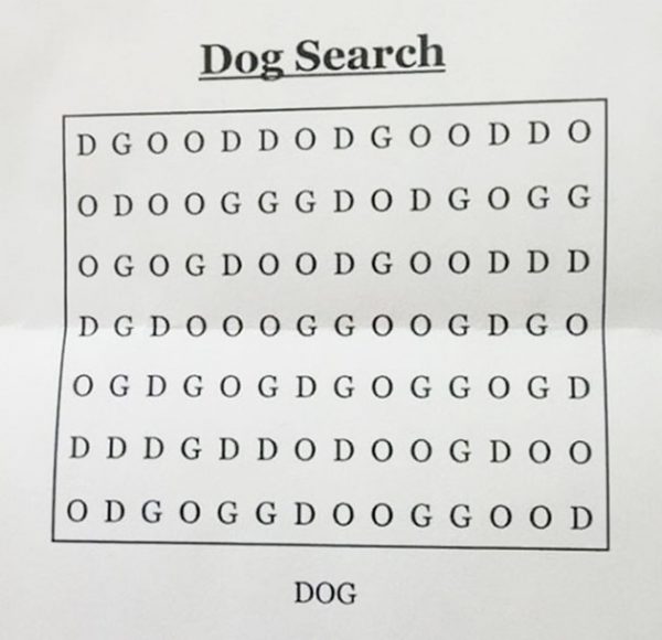 dog-grille dog-grille