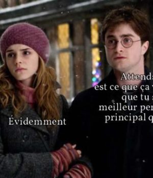 hermione-personnage-principal-harry-potter