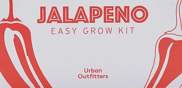 jalapeno-easy-grow-kit