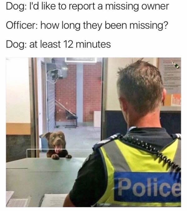 1 1