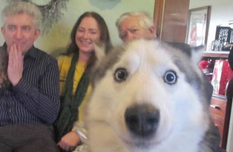 15 15