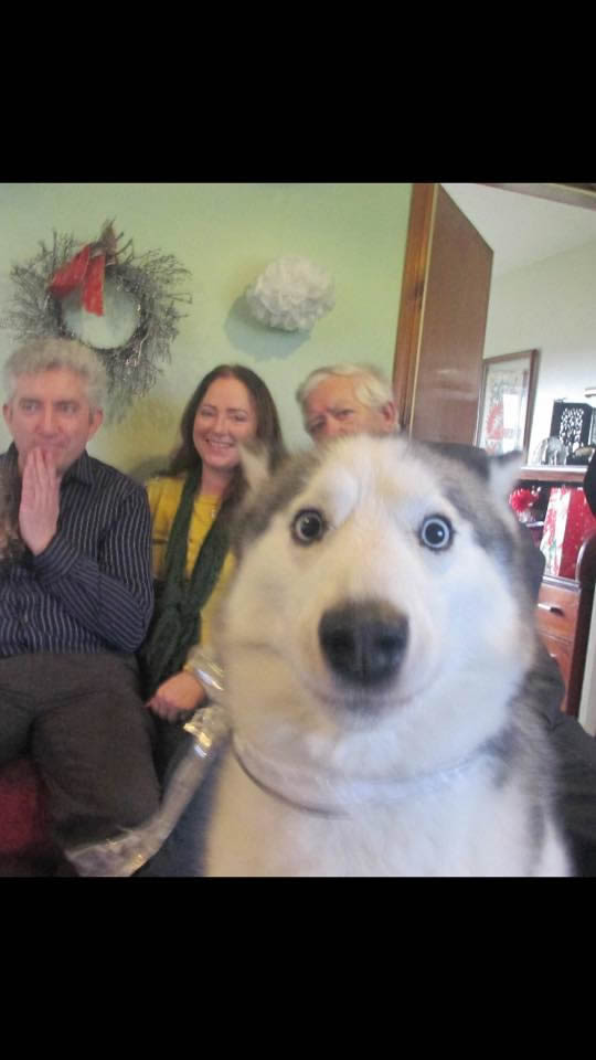 15 15