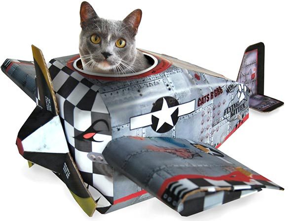 avion-carton-chat