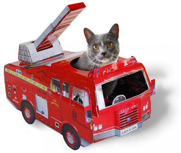 camion-pompier-chat