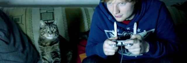 Chat Mort Il Me Manque J Ai Pleure Et C Est Totalement Normal