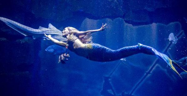 claire-sirene-roberto-d-alessandro claire-sirene-roberto-d-alessandro