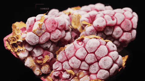 fruits-decongelent-time-lapse-framboise fruits-decongelent-time-lapse-framboise