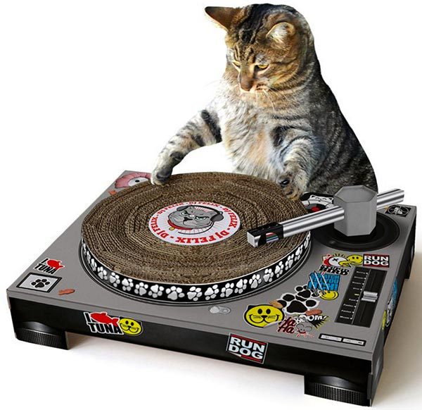 grattoir-dj-chat