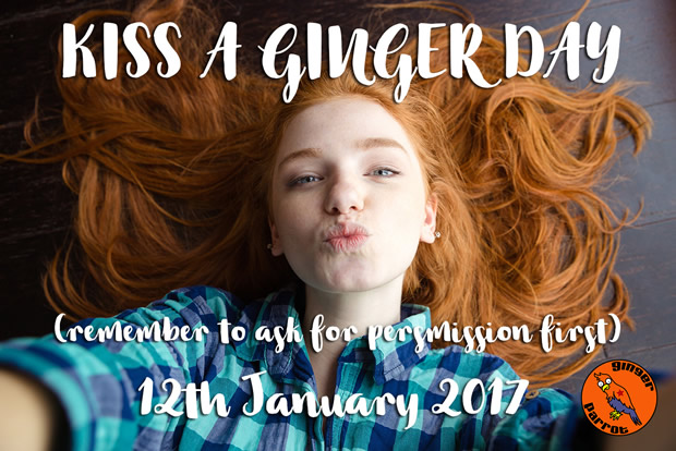 kissagingerday2017large