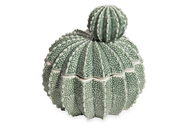 cactus10