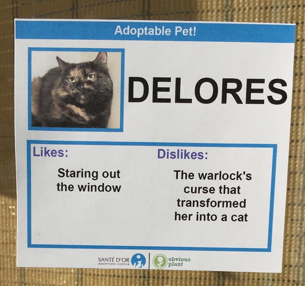 chat-delores
