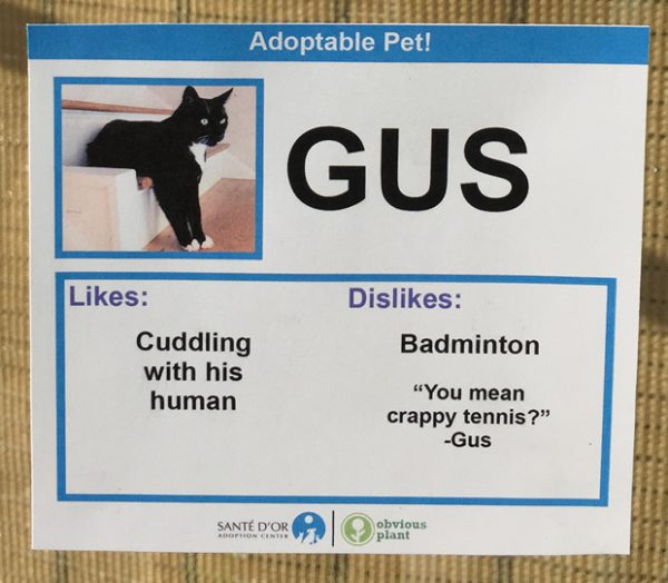 chat-gus