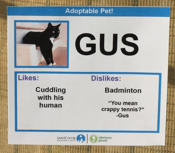 chat-gus chat-gus