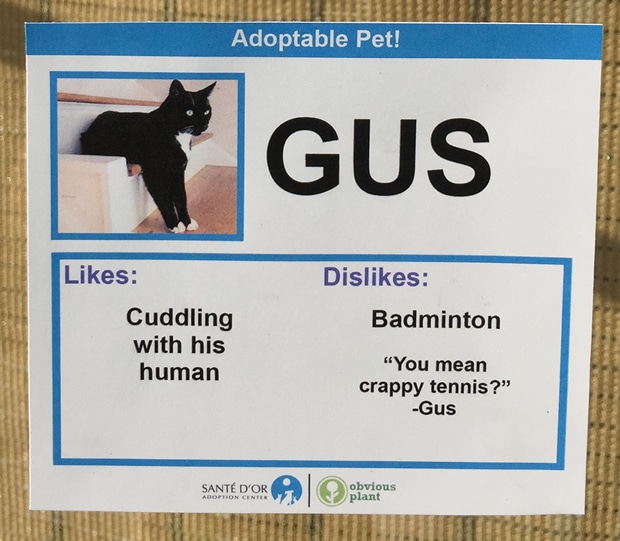 chat-gus