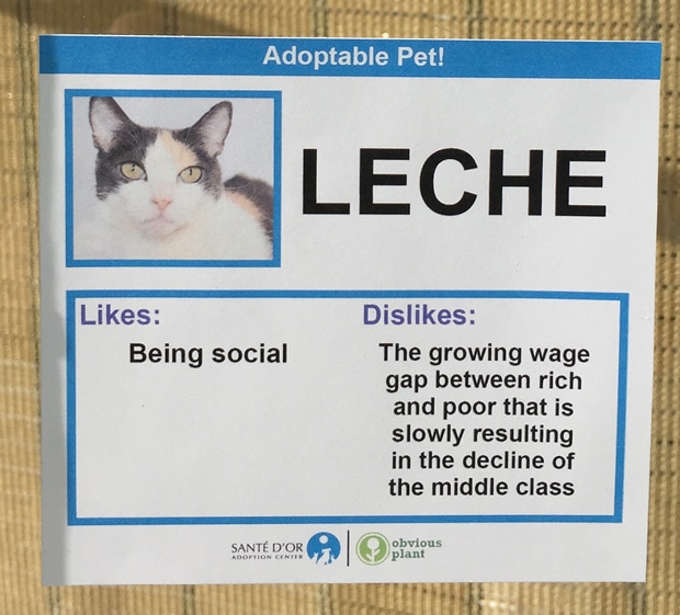 chat-leche