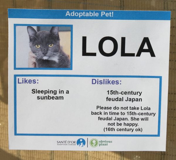 chat-lola chat-lola