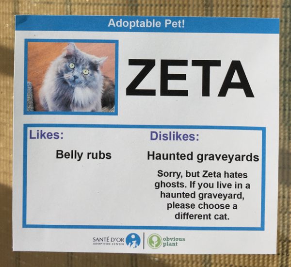 chat-zeta chat-zeta