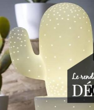 decoration-cactus