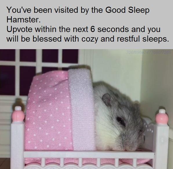6 6