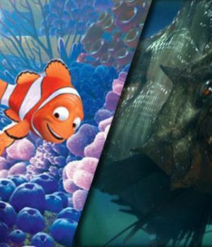 films-ocean-fonds-marins films-ocean-fonds-marins