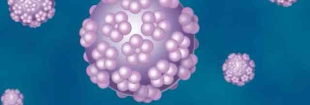 ist papillomavirus homme)