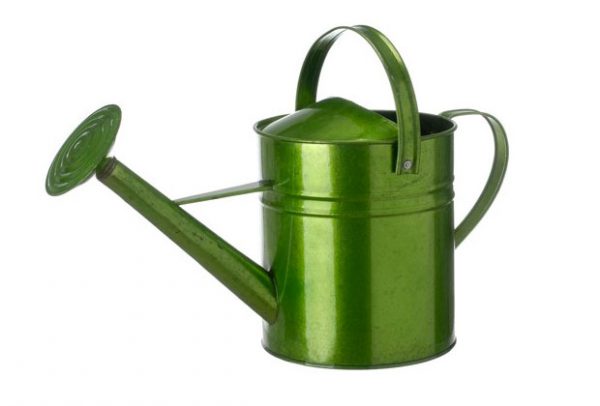 green6 green6