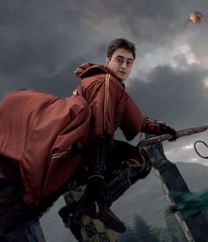quidditch-dictionnaire-oxford