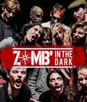 zombin-the-dark-inscriptions-2017