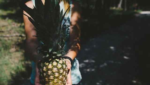 comment-poussent-ananas