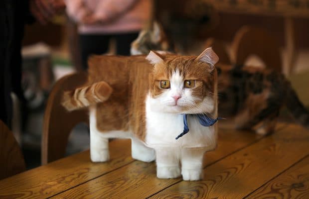 minecraft-chat minecraft-chat