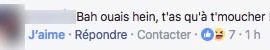 commentaire ok 12