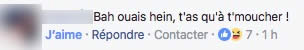 commentaire ok 12