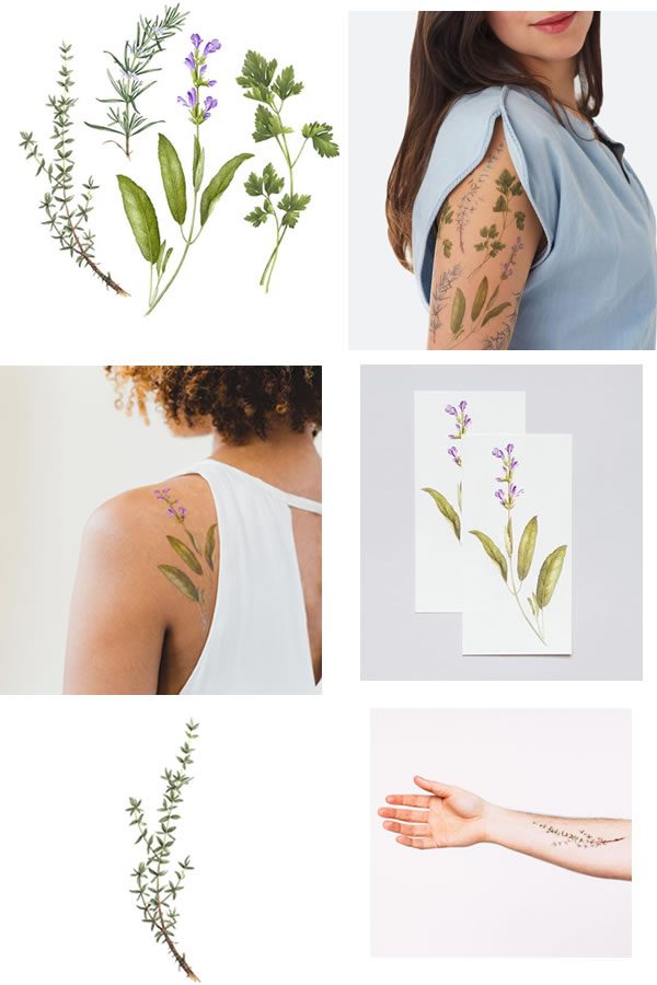 tatouages-odorants-plantes tatouages-odorants-plantes