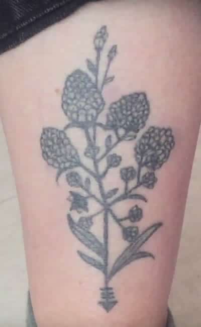 Capture d’écran 2017-07-06 10.39.21