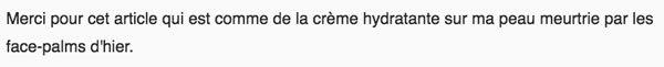 commentaire ironie commentaire ironie