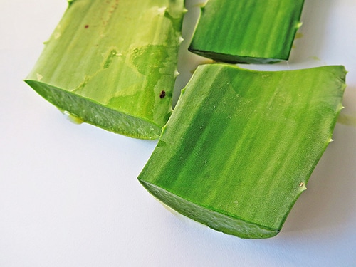 decouverte-aloe-vera-1