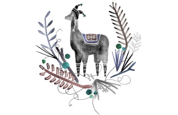 lama12 lama12