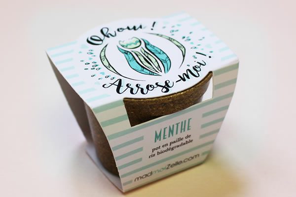 menthe-madbox