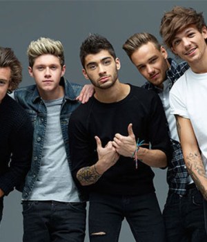 one-direction-carrieres-solo