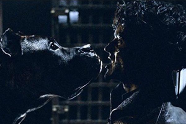 scene-gore-ramsay scene-gore-ramsay