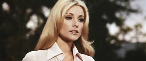 sharon-tate