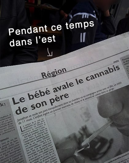 Cannabis Est