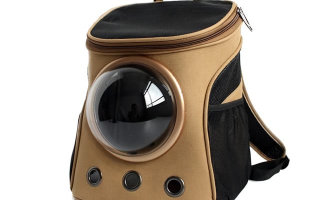 Cadeaux pour chats, du panier au jouet – madmoizelle.com