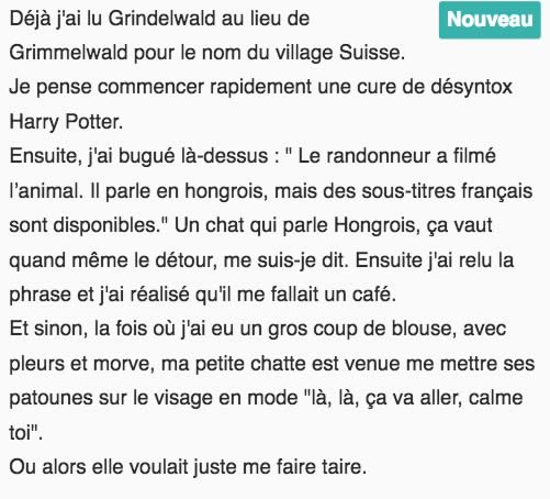 commentaire harry potter