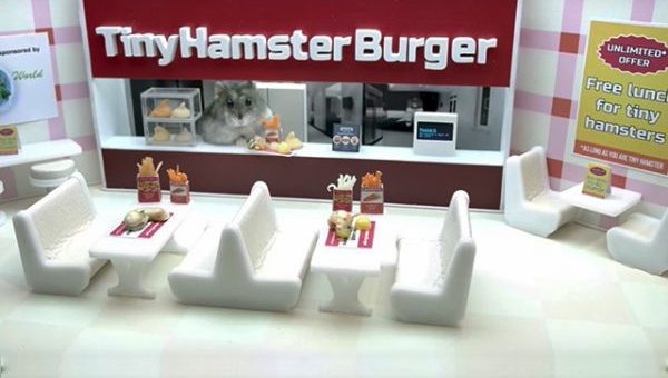 hamsters-nourriture-youtube