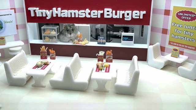 hamsters-nourriture-youtube