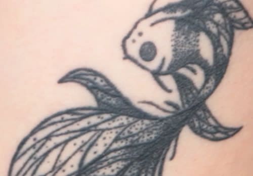 street-tattoos-flavie-poisson
