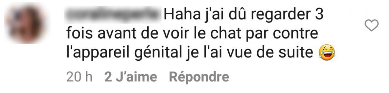 Bo chat Bo chat