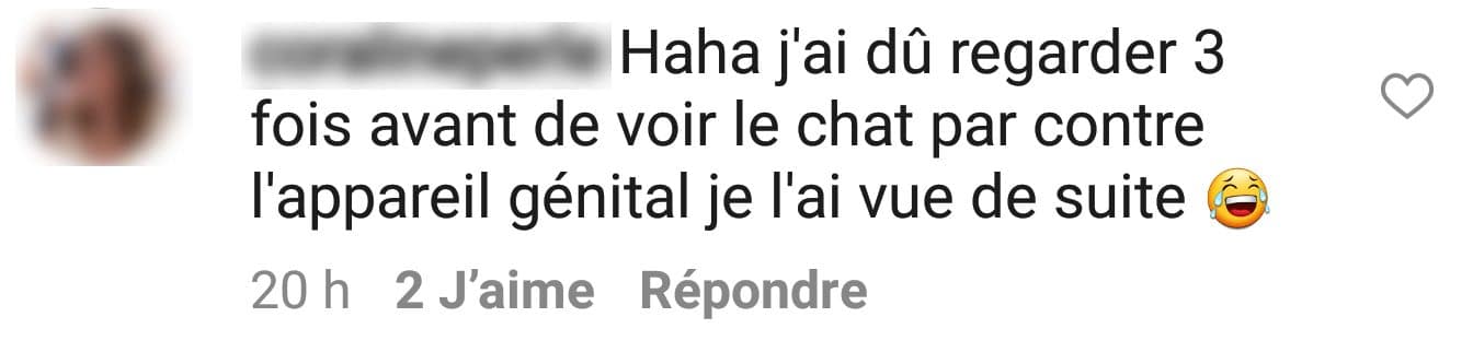 Bo chat Bo chat